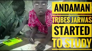 Andaman jarwa tribes started to study in the forest with the help of central government of india