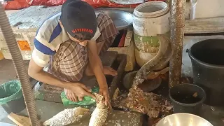 Bd local market fish cutting video