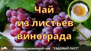 Ферментированный Чай из виноградных листьев