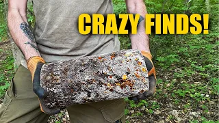 This is a real Battlefield! Artifacts of two Armies. WW1 Metal Detecting