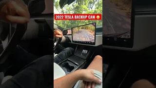 THIS NEW Tesla Model S Plaid Feature is NEXT LEVEL😳🥵 #Shorts