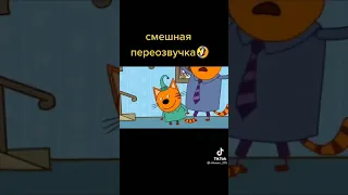 Три кошака и одна самочка😂👍😂