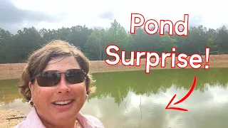 You won't believe what I found in the Pond!