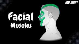 Muscles of Facial Expression (Parts, Origin, Insertion, Function)