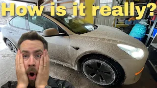 Tesla Model 3 RWD as a Winter Vehicle? Is it any good?