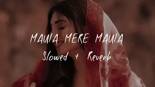Maula Mere Maula [Slowed+Reverb] - Roop Kumar Rathod || Lofi-M