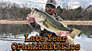 Winter Crankbait Tips for Shallow Water Pond Fishing