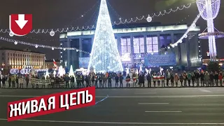 Акция протеста против интеграции с Россией в Минске. Живая цепь