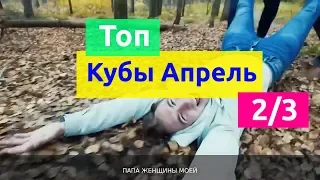 COUB лучшее апрель 2019 best coub Часть №2 | #приколы 2019