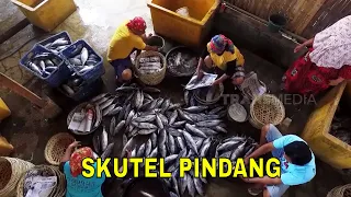 SKUTEL PINDANG Ala Si Gundul, Nikmatnya Nendang! | JEJAK SI GUNDUL (27/06/23)