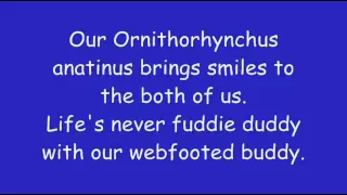 Phineas And Ferb - Everything's Better With Perry Lyrics (HD + HQ)