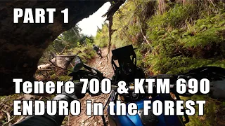 Tenere 700 extreme enduro with KTM 690 pushing and dragging through a fallen forest PART 1
