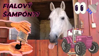 Spratávanie sena 🚜🍀+ umývanie Axela fialovým šampónom 🚿👀| video so psami a koňmi, jazdenie na koni