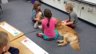 Bring Your Pet to School Day - Stewart Elementary