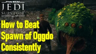 Star Wars Jedi Survivor spawn of oggdo boss guide walkthrough, how to beat spawn of oggdo consistent