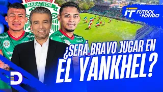 ¿Será determinante el Yankel Rosenthal este próximo sábado para el Monstruo Verde?