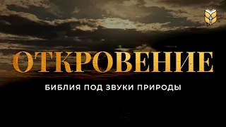 Библия перед сном под звуки моря. Современный перевод Библии #biblevision