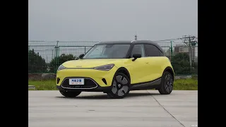 Mini Electric Car Smart #1