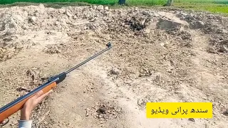 Diana 35 .22 Airgun T06 Hunting in Sindh pakistan Old Video