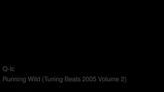 Q-Ic - Running Wild (Tuning Beats 2005 Volume 2)