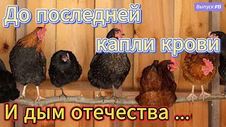 #15 НЕ ОТКЛАДЫВАЙ обработку! ДЁГОТЬ в помощь!