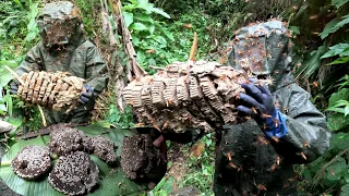 This type of nocturnal bee is very aggressive, bushcraft shelter building, jungle  building, Mah