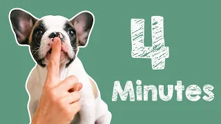 4 Minute Timer for School - Barking Dog Alarm Sound