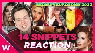 Belgium Eurosong 2023: All 14 song snippets (REACTION)