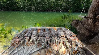 Harvesting A Unique Lobster | Night Diving | CCC