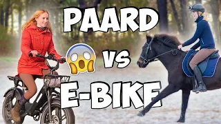 DIT GEBEURT ER als je met een PAARD tegen een E-BIKE GAAT RACEN! | Daphne draaft door