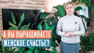 СПАТИФИЛЛУМ - ЖЕНСКОЕ СЧАСТЬЕ 🌟 Особенности выращивания / Садовый гид