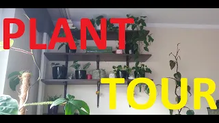 🌸Plant Tour - przegląd wszystkich roślin🌸