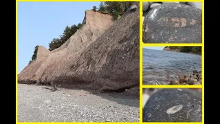 Fossil Hunting and Rock Collecting at Lake Ontario!