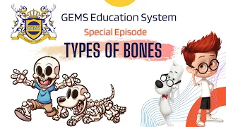 types of bones according to structure | bones in human body | skeleton dance just dance