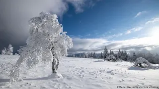 СРОЧНО ТАМОШО МЕКУНЕМ ДУСТОНИ АЗИЗ