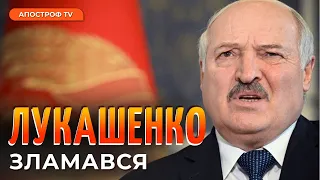 ФЮРЕР ЗАНЕРВУВАВ? Позиції Лукашенка ПІДІРВАНО після подій у Мачулищах // Алесін