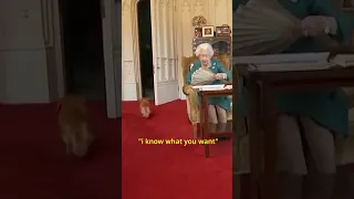 ADORABLE Moment Between Queen and her Corgi