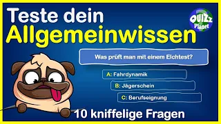 Quiz Allgemeinwissen #5 - Lernvideo, das musst du wissen! Quiz deutsch, Rätsel zum Lösen