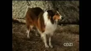 Lassie - Episode #411 - "Babes in the Woods" - Season 12, Ep. 26 - 03/06/1966