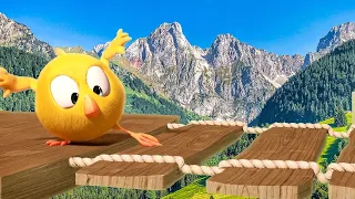 Where's Chicky? Funny Chicky 2023 | THE ADVENTURE | Cartoon in English for Kids | New episodes