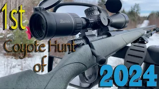 1st Coyote Hunt of 2024