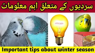 Most important information about winter | budgies winter care | birds ko Sardis say kaisa bachain