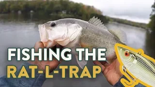 Rat-L-Trap Fishing Tips | How To Fish Lipless Crankbaits  (Ft. Brian Lattimer)