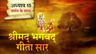 श्रीमद भगवत गीता सार- अध्याय 15 |Shrimad Bhagawad Geeta With Narration |Chapter 15|Shailendra Bharti