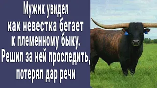 Увидел как невестка бегает в хлев к племенному быку. И решил за ней проследить - потерял дар речи