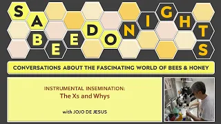 SaBEEdo Nights Episode 2023-08:  INSTRUMENTAL INSEMINATION:  The Xs and Whys