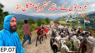 Travelling with Bakarwal In Kashmir Episode 7 | Lifestyle of Bakarwal Nomads in Kashmir