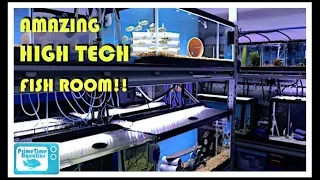 Full Fish Room Tour - Rick's Fishroom - Rare Fish and C.A.R.E.S. Conservation!