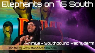 Stoned Chakra Reacts!!! Primus - Southbound Pachyderm