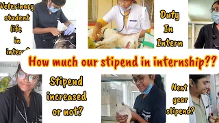 How much Veterinary student's stipend in internship???👩‍⚕️💉🩺😶is it increased after strike??NDVSU